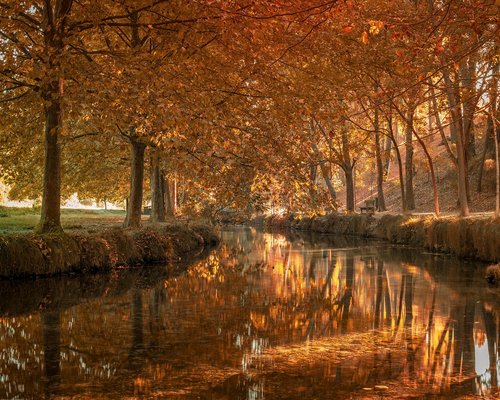 Persoană ieșind la plimbare